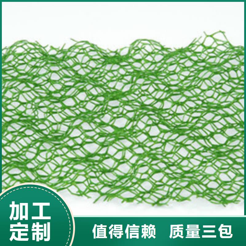 三维植被网,凸结点钢塑土工格栅海量库存用心制造