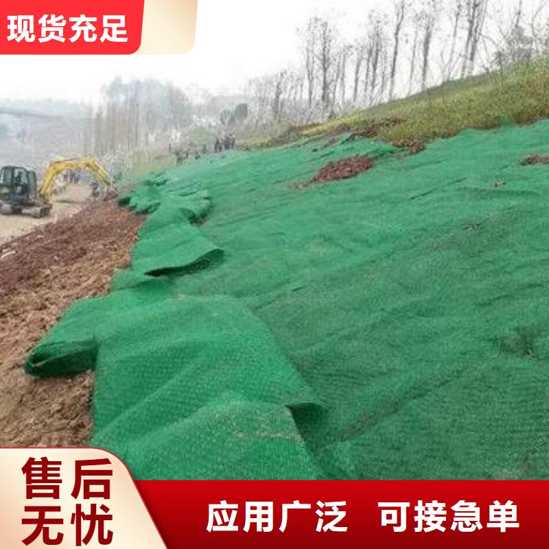三维植被网玻纤土工格栅厂家自营当地厂家值得信赖