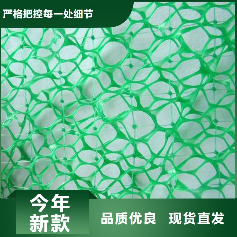 三维植被网钢塑土工格栅优质货源当地生产厂家