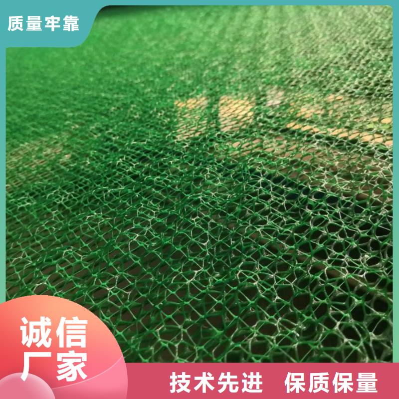 三维植被网实体诚信厂家严格把控质量