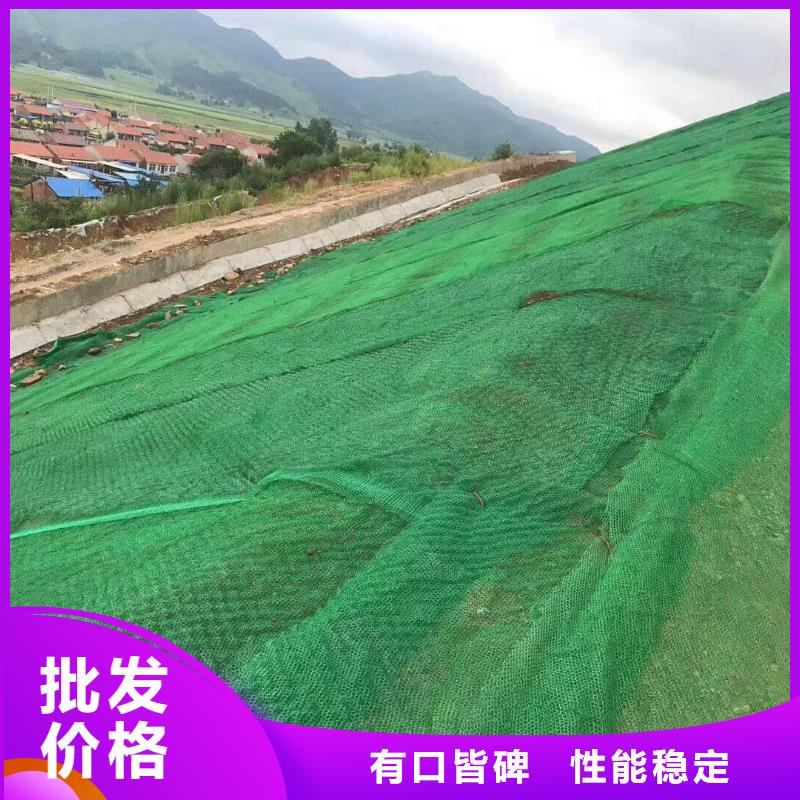 三维植被网单向塑料格栅不只是质量好产品优势特点