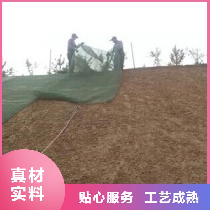 三维植被网,复合土工膜质量三包甄选好物