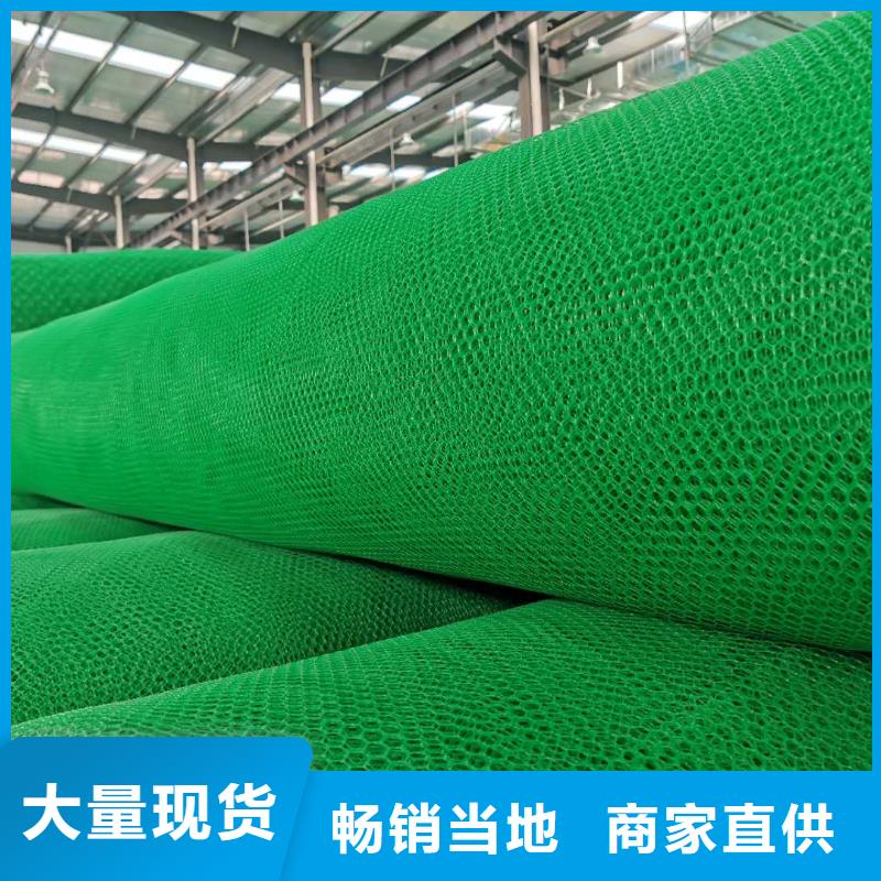 三维植被网_钢塑土工格栅用心服务品质无所畏惧