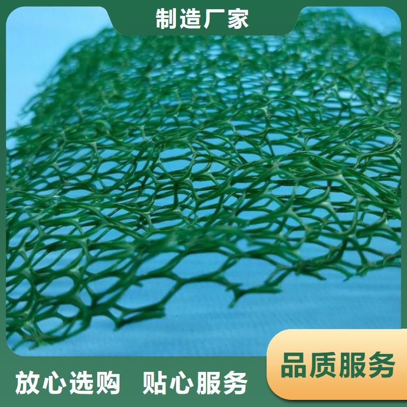 三维植被网【土工格室】好产品有口碑本地厂家