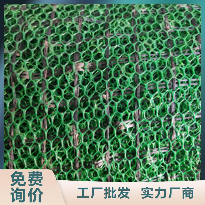 三维植被网凸结点钢塑土工格栅生产经验丰富当地制造商