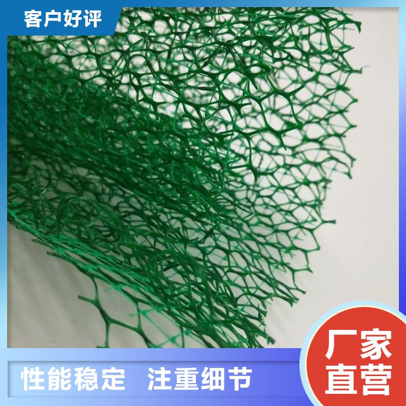 三维植被网塑料盲沟优良材质行业优选