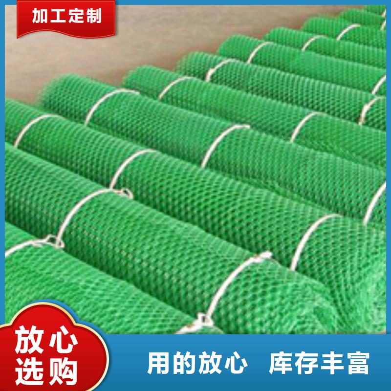 三维植被网_土工格室发货迅速当日价格
