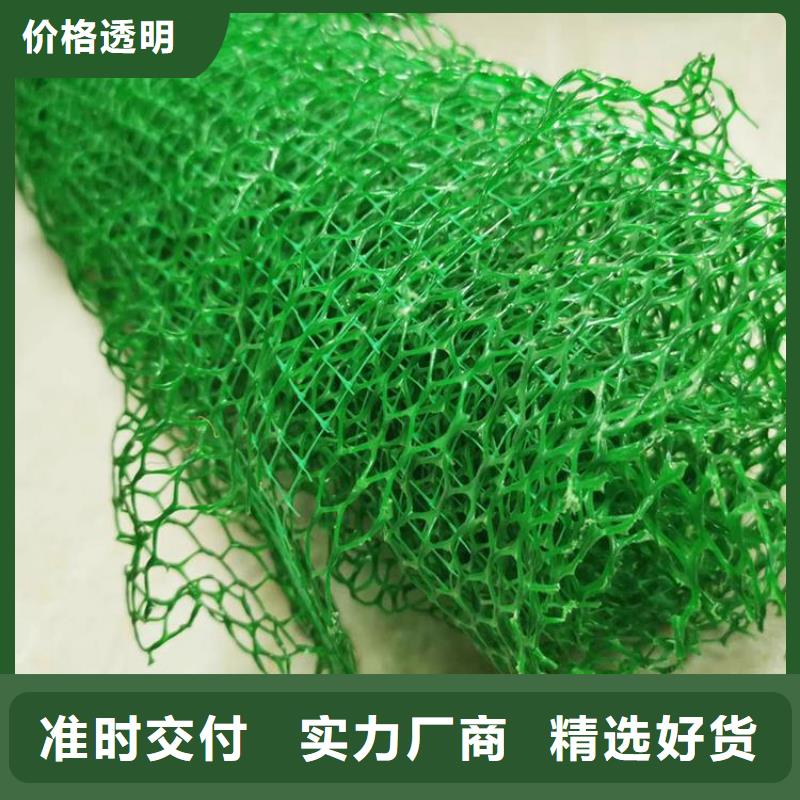 三维植被网无纺布质量牢靠品牌大厂家
