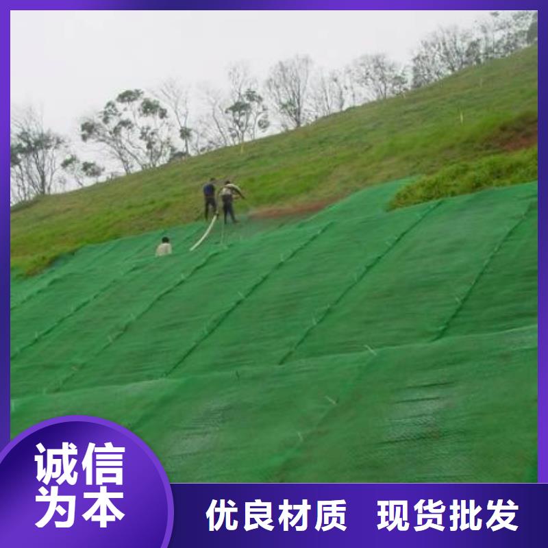三维植被网单向塑料格栅生产加工本地服务商