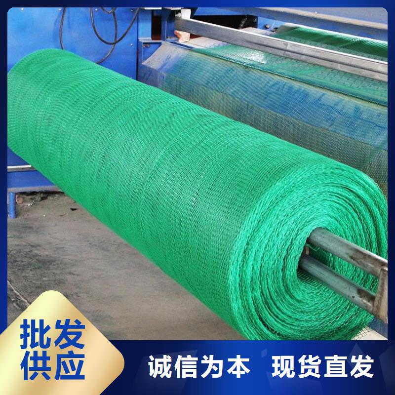 三维植被网玻纤土工格栅品牌企业本地经销商