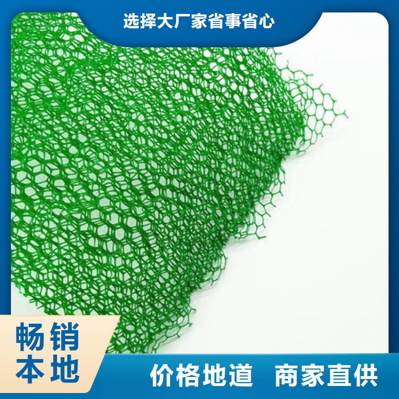三维植被网单向塑料格栅使用寿命长久好产品放心购