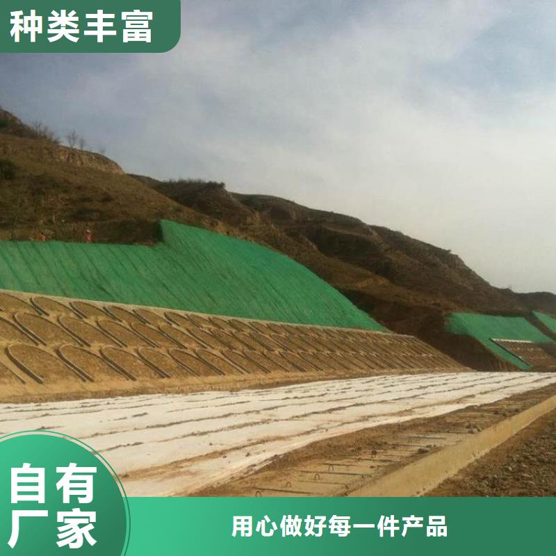 三维植被网三维土工网垫生产型常年出售