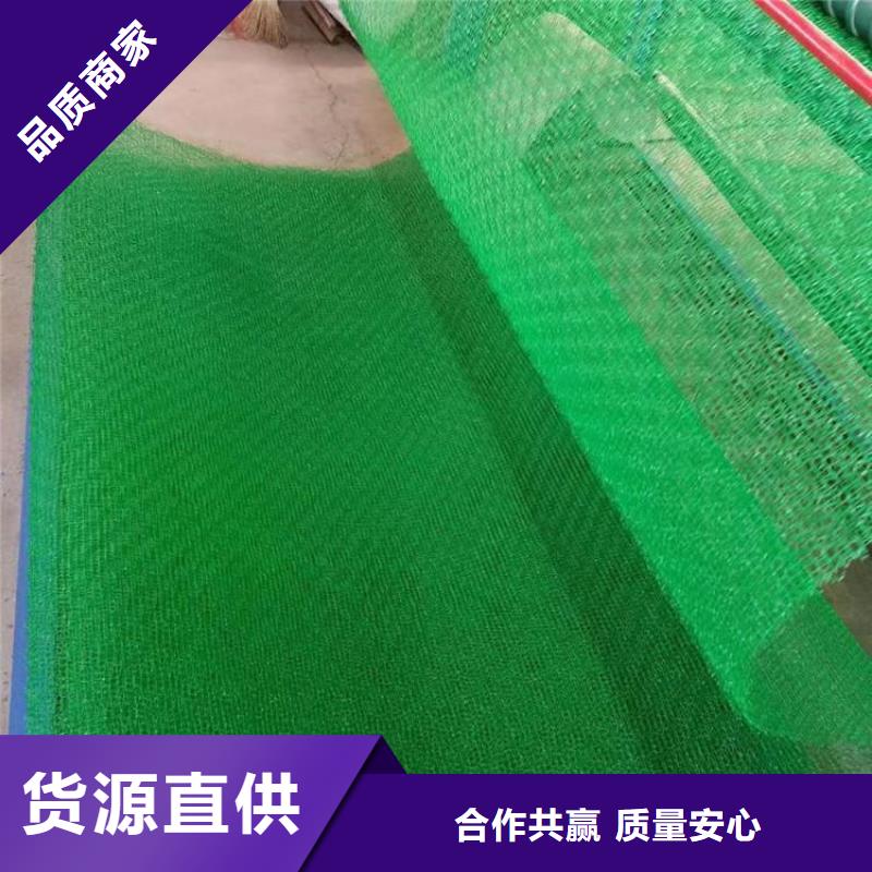 三维植被网-护坡土工网市场报价供您所需