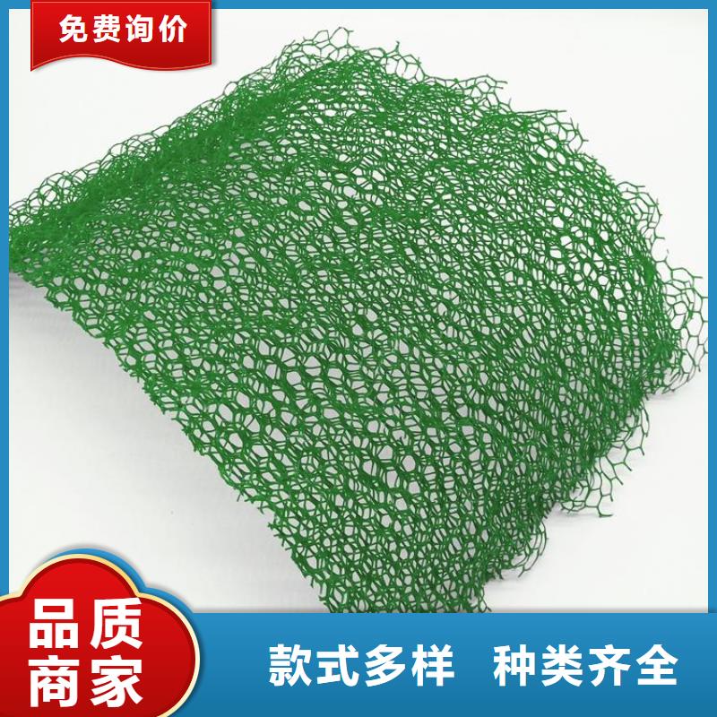 三维植被网HDPE土工膜出货快可放心采购
