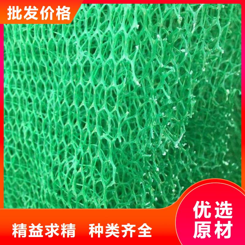 【三维植被网】涤纶格栅价格合理实力大厂家