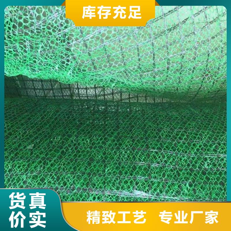 三维植被网【护坡土工网】满足客户需求当地制造商