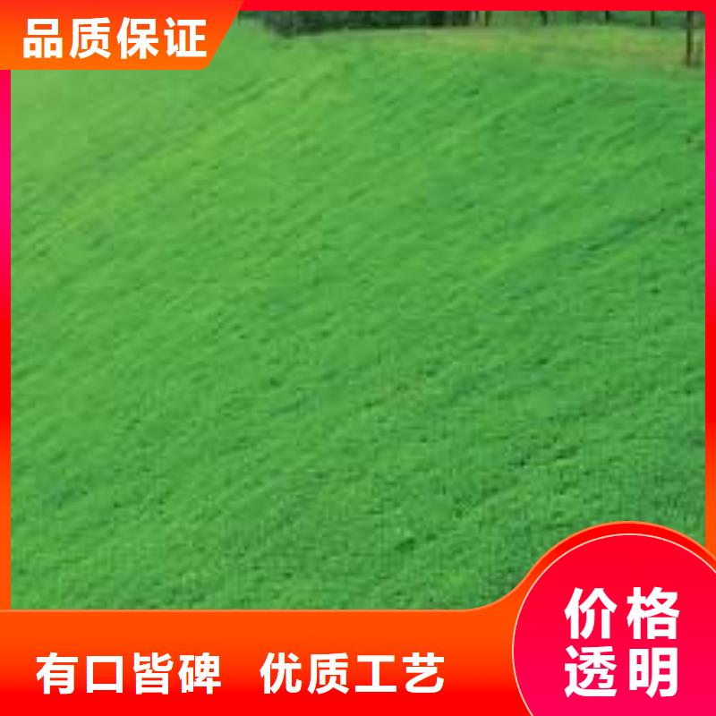 三维植被网短丝土工布使用寿命长久严选材质