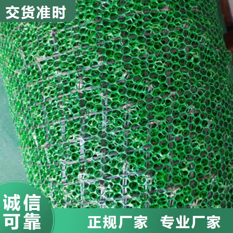 【三维植被网】排水沟盖板多种规格库存充足大量现货