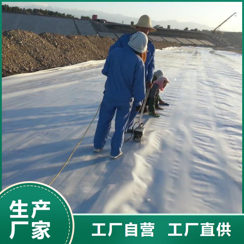 土工膜【短丝土工布】原厂制造来图来样定制