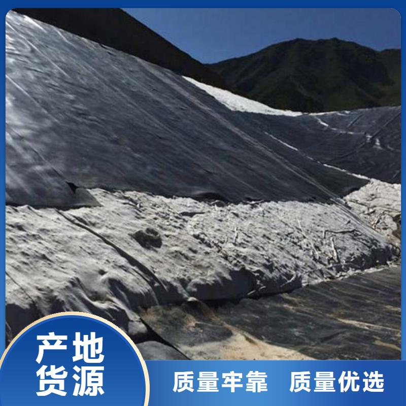 土工膜HDPE黑色土工膜出货快同城货源