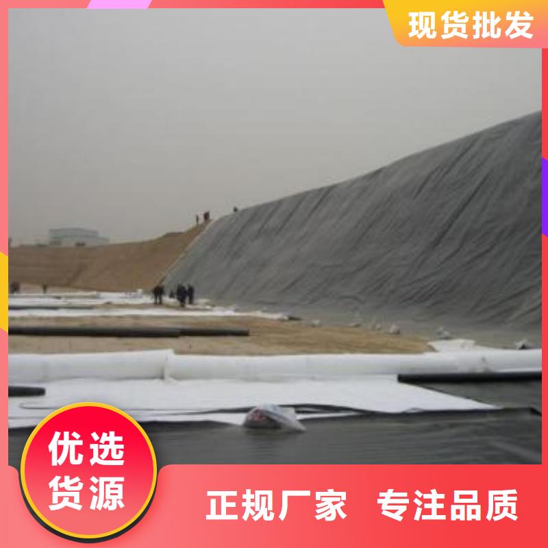 【土工膜】三维土工网垫种类丰富同城服务商