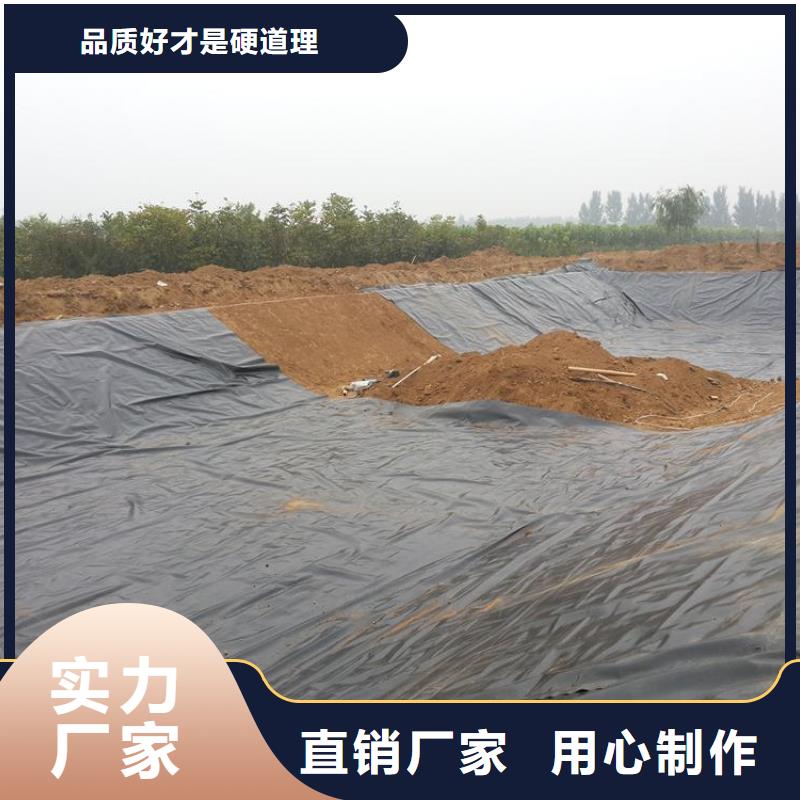 土工膜双向塑料格栅口碑好实力强当地制造商