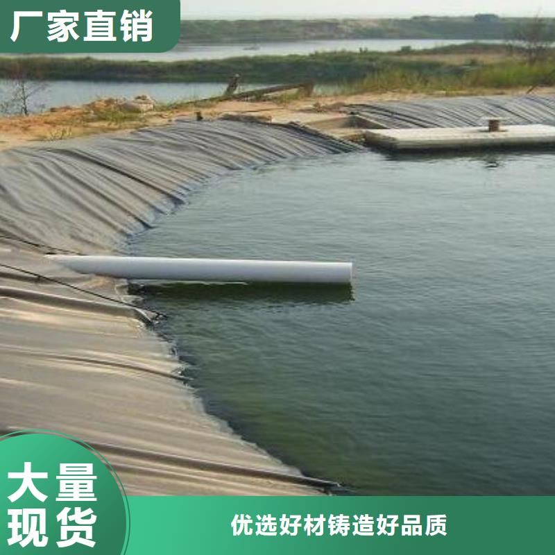 土工膜单向塑料格栅货源直销正规厂家