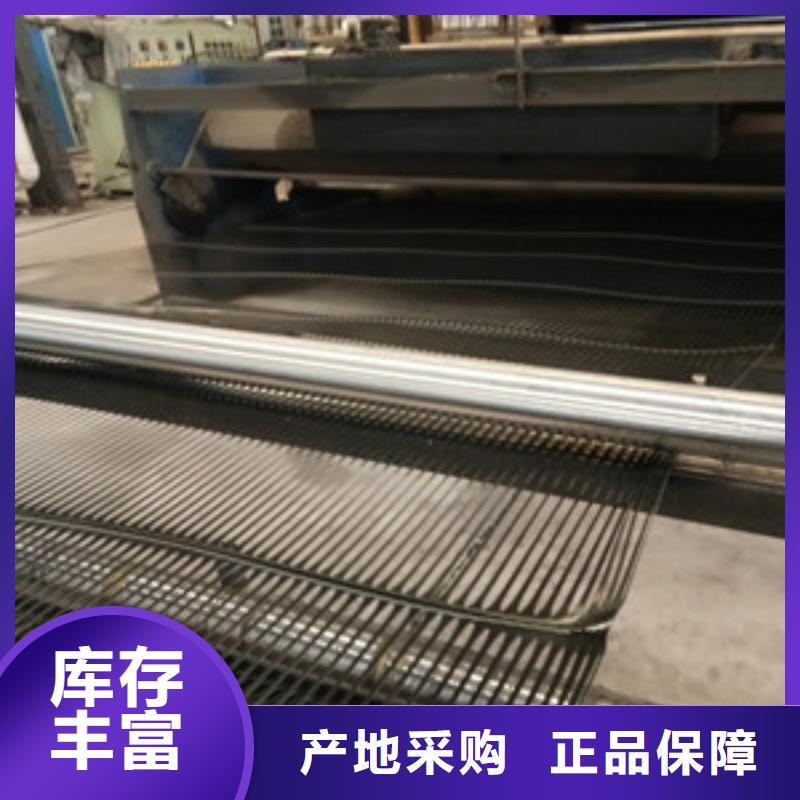 钢塑土工格栅【三维土工网垫】敢与同行比价格同城生产厂家