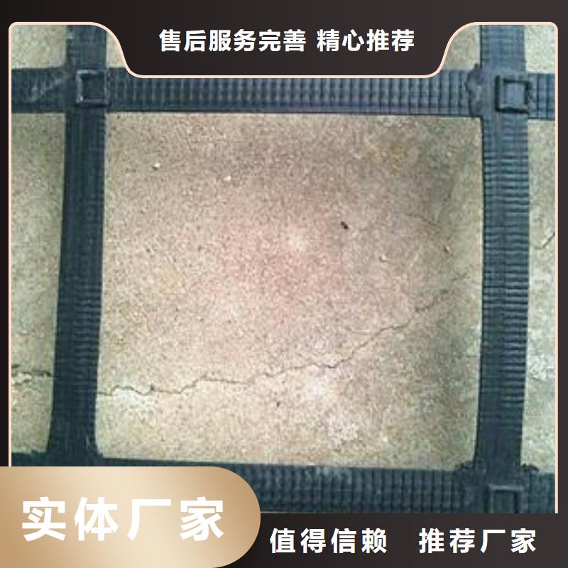钢塑土工格栅复合土工膜一致好评产品品质做服务