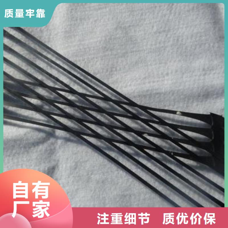 单向拉伸塑料格栅,三维植被网老客户钟爱用心服务