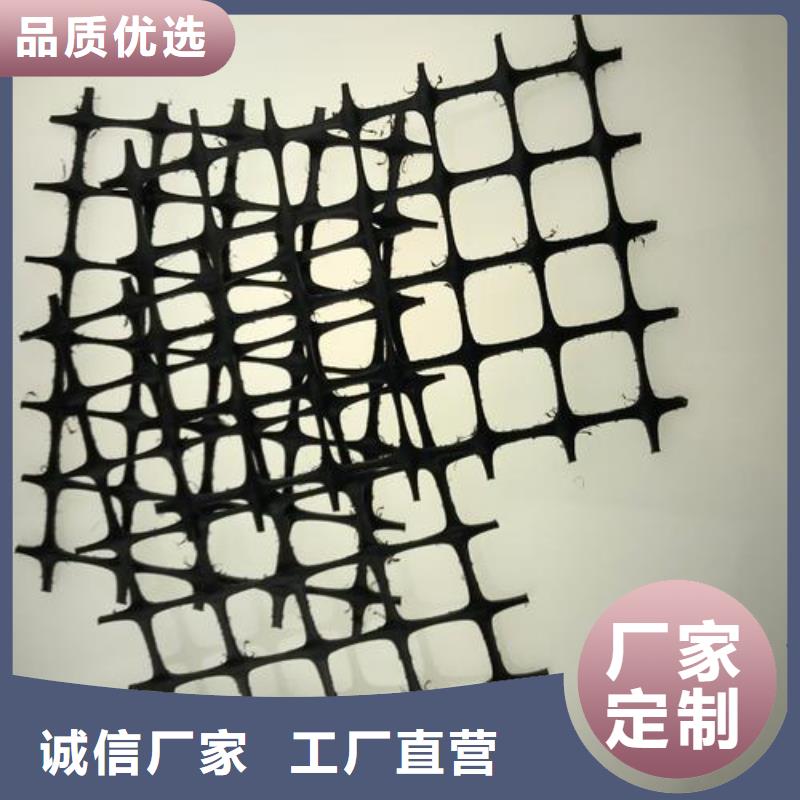 双向塑料土工格栅,土工布定制速度快工期短当地经销商