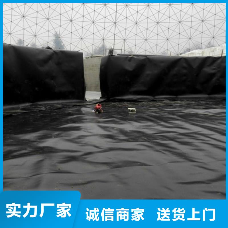 土工膜_三维复合排水网买的放心安兴用的舒心精选好货