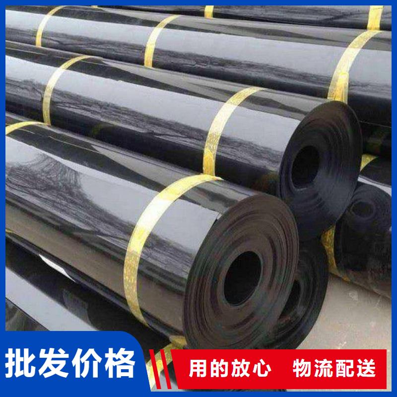 【土工膜三维复合排水网产品细节】精工制作