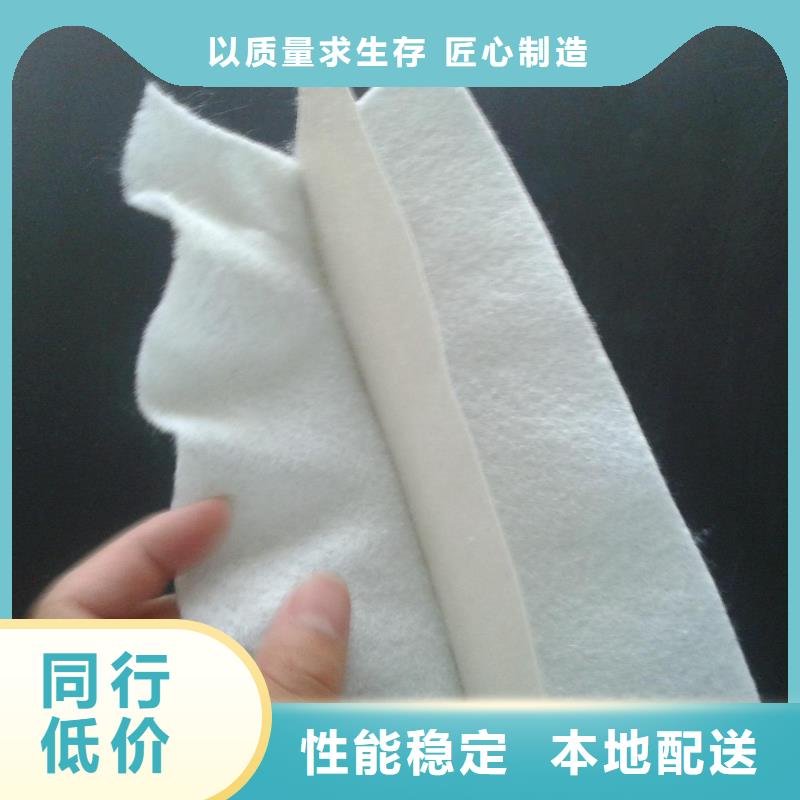 土工膜-膨润土防水垫品质信得过实体厂家大量现货