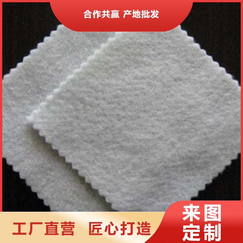 土工布水土保护毯高质量高信誉发货及时