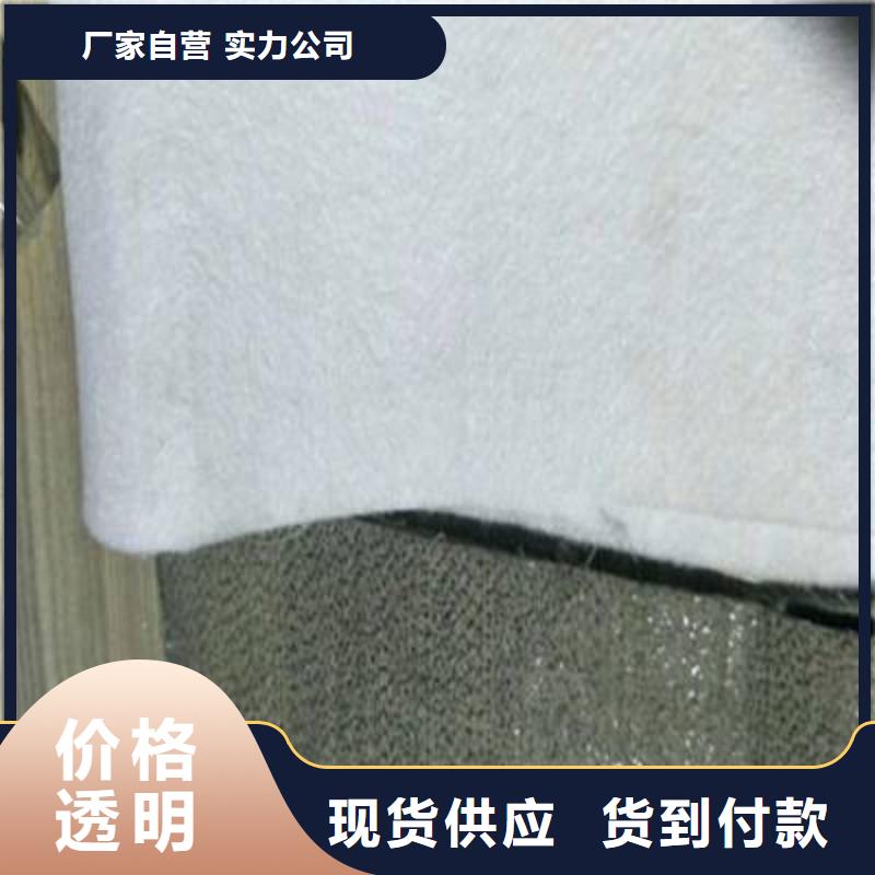 土工布三维植被网优选厂商同城厂家