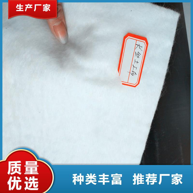 土工布复合土工膜信誉至上核心技术