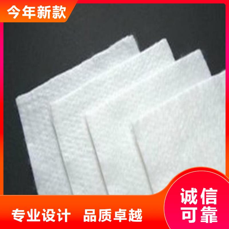 土工布单向拉伸塑料格栅库存齐全厂家直供实力雄厚品质保障