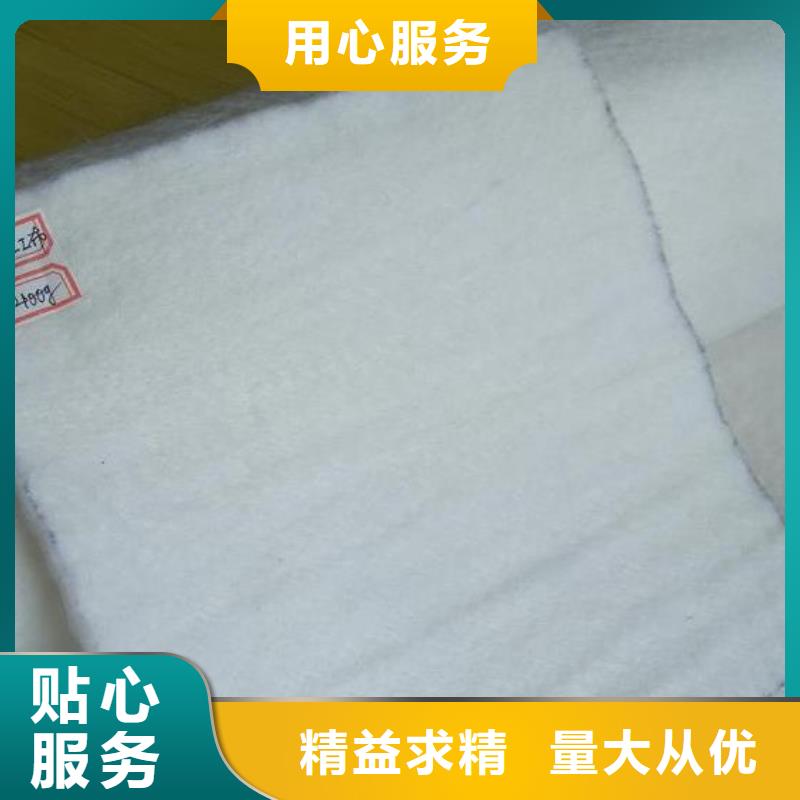 土工布短丝土工布N年生产经验同行低价