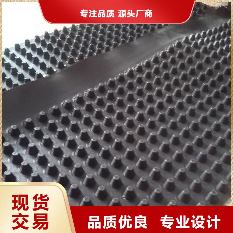 蓄排水板_土工席垫安装简单货真价实