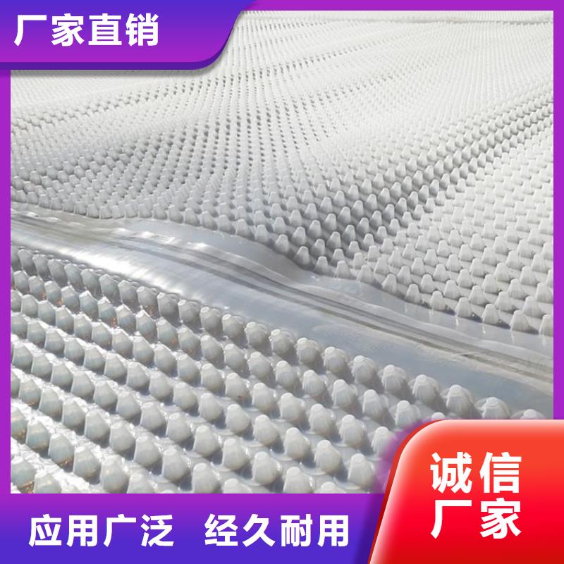 蓄排水板渗排水片材高品质现货销售当地服务商