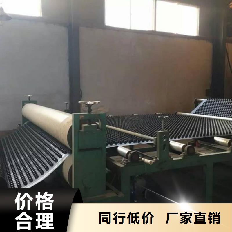 蓄排水板三维复合排水网自产自销货品齐全