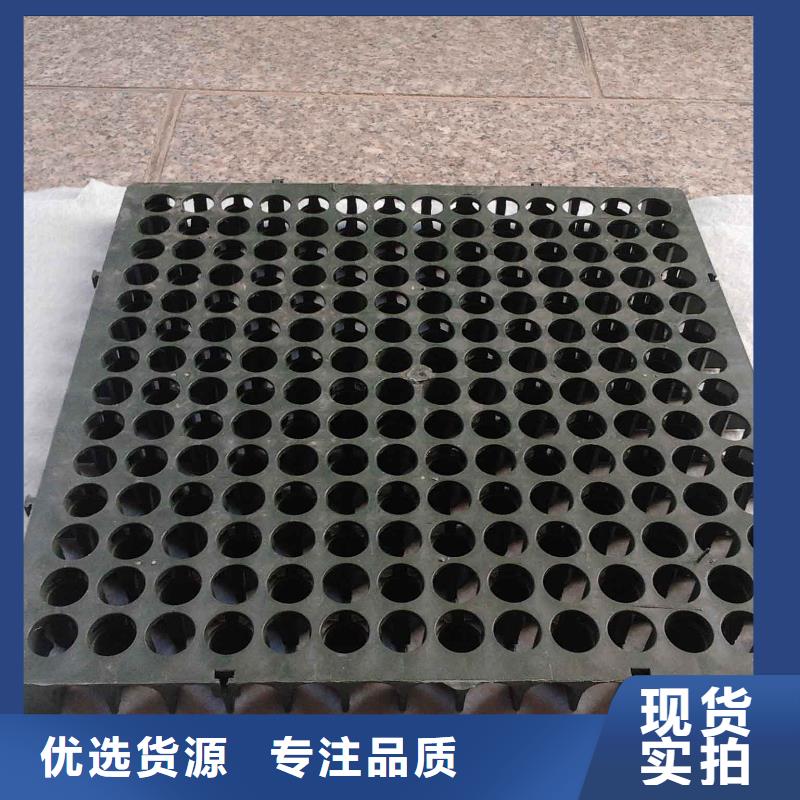 蓄排水板软式透水管多年经验值得信赖支持定制贴心售后