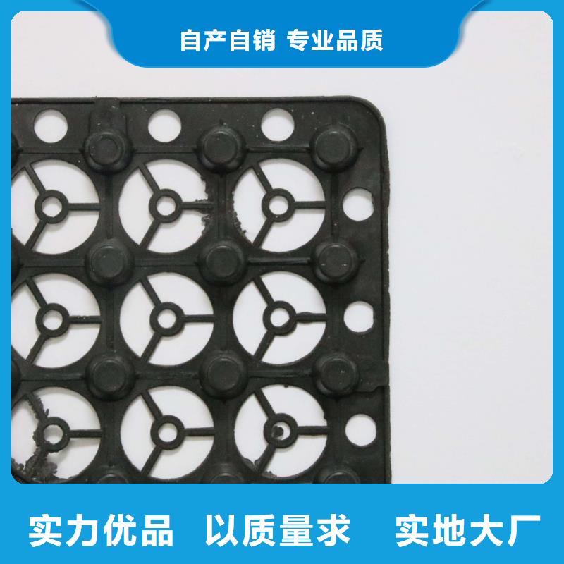 【蓄排水板】塑料盲沟实力优品厂家直销直供