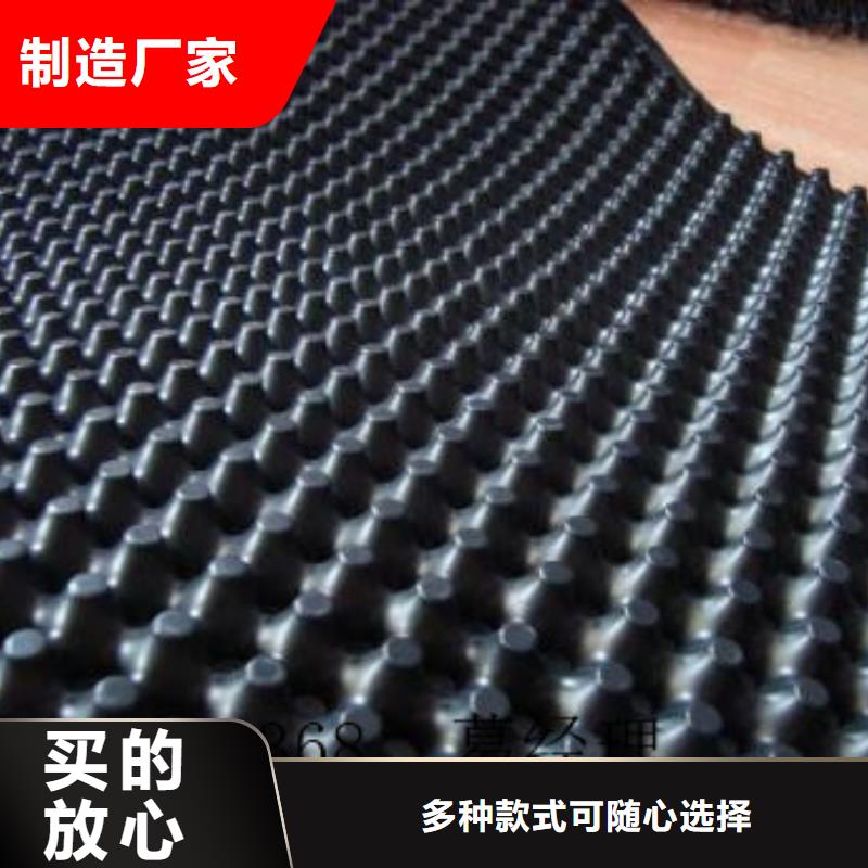 蓄排水板三维植被网实时报价优选厂家