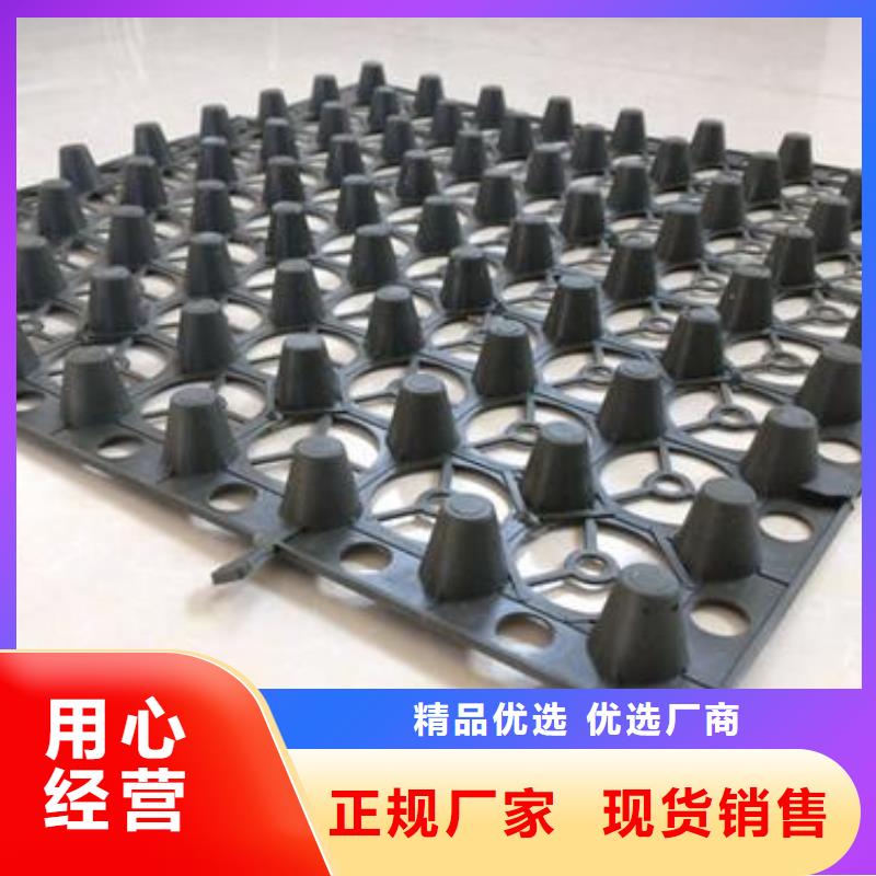 蓄排水板双向拉伸土工格栅厂家质量过硬无中间商厂家直销