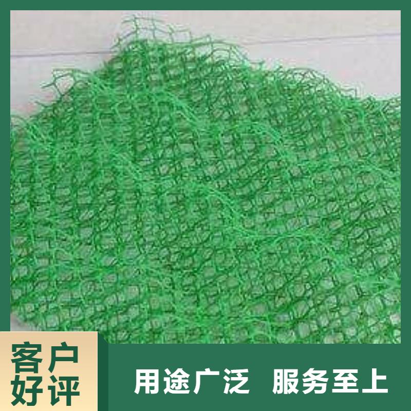 三维植被网-玻纤格栅敢与同行比价格品质保证