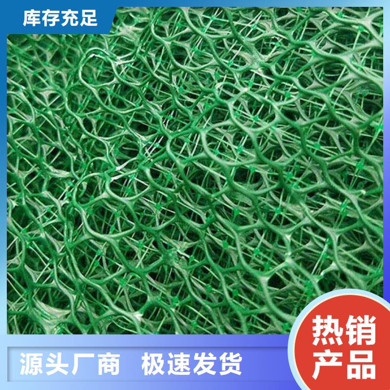 三维植被网长丝土工布品牌专营本地制造商