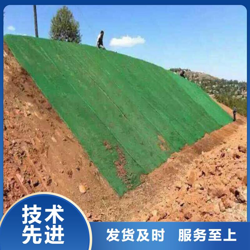 三维植被网,短丝土工布货到付款质量无忧