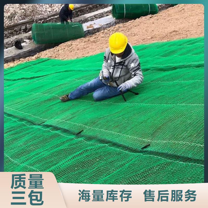 三维植被网_三维复合排水网生产加工当地厂家值得信赖